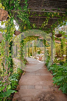 Beautiful natural garden path with plants and flowersbeautiful garden path la quebrada la esperanza photo