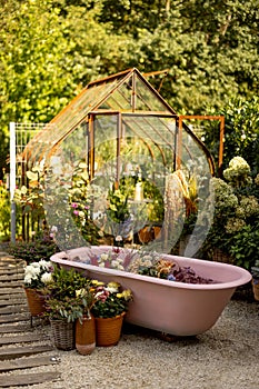 Beautiful garden with pink bathtub