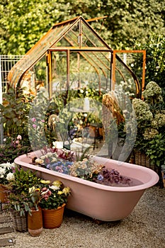 Beautiful garden with pink bathtub
