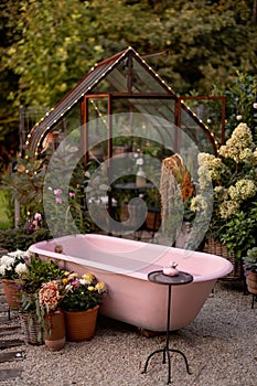 Beautiful garden with pink bathtub