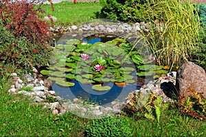 Beautiful Garden Pond