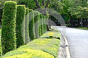 Beautiful garden scence