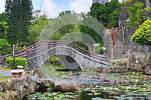 Beautiful garden scenery of lotus flowers and leaves with stone bridge