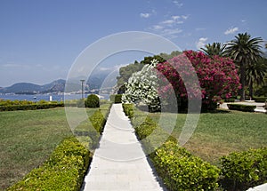 Beautiful garden on the seafront photo