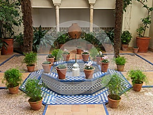 Beautiful garden / patio at Sorolla Museum. photo