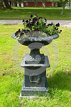 Beautiful garden stone flower planter