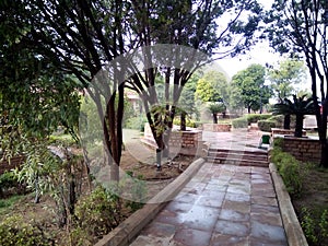 Beautiful garden tree park stairs