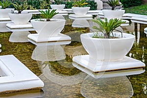 Beautiful Garden with White Stone Flower Pots in a Pool. Small Palm Trees in Large Pots. Luxury Decoration with Flowers