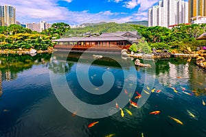 The beautiful garden with wooden house, fancy carp fish pond and building  in Chi Lin Nunnery Temple and Nan Lian Garden At