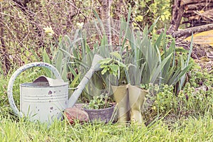 Beautiful gardening concept: vintage watering can, flower pots, rubber boots in the spring garden