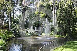 Beautiful gardens with fountains, conserved trees and palms in City of Wanneroo Western Australia