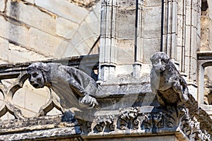 Beautiful Gargoyles of Notre-Dame de Paris facade