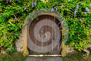 Beautiful gate with natural lining at Ternand village in France