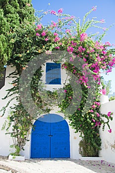 Beautiful gate of Sidi Bou Said photo