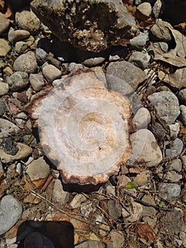 Beautiful Geode rock