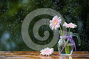 Beautiful Gerbera daisy flowers in jug on wooden table outdoors under the rain with droplets