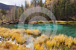 Beautiful Geyser Lake with blue clay in autumn, Altai,Russia