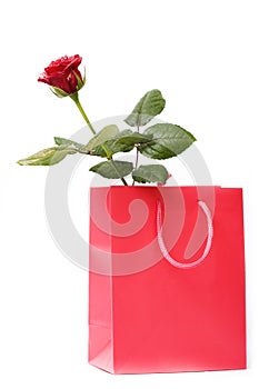 Beautiful gift box with Red rose