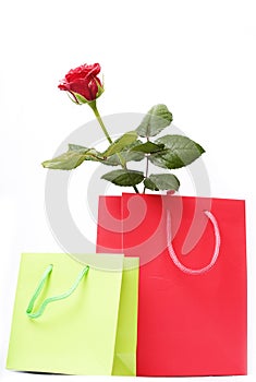 Beautiful gift box with Red rose photo