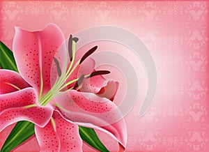 Beautiful gift card with pink lily