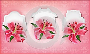 Beautiful gift cards with pink lily