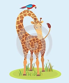 Beautiful Giraffe on grass