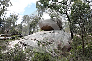 Beautiful Giraween National Park