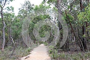 Beautiful Giraween National Park