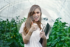 Beautiful girl agronomist working in a greenhouse