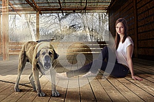 Beautiful girl and barking watchdog outdoors at wooden veranda