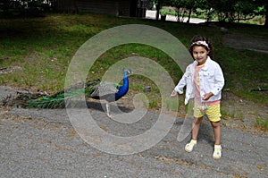 Beautiful Girl and Bird