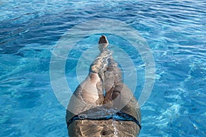 Beautiful girl body above the surface of the water in the pool, young woman relaxing in the pool - top view