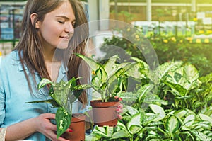 Beautiful girl customer chooses ficus plants in the retail store. Gardening In Greenhouse.