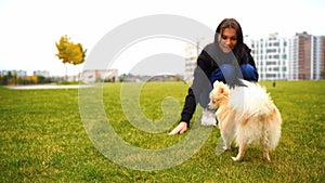 Beautiful girl with dark hair with a smile Playing with a Spitz puppy.