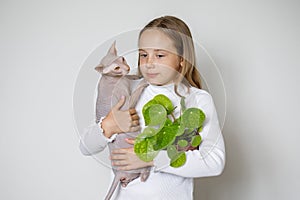 Beautiful Girl with domestic hairless cat and plant