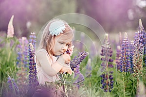 Beautiful girl in dress holding a lupine at sunset on the field. The concept of nature and romance. Happy childhood