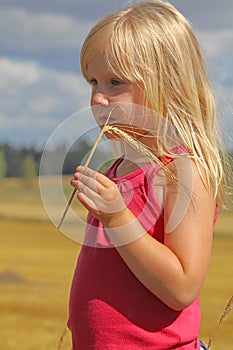 Beautiful girl, ears and yellow field