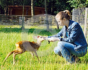 Beautiful girl feeds young deer