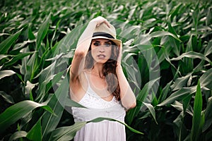 Beautiful girl in a field of cobs