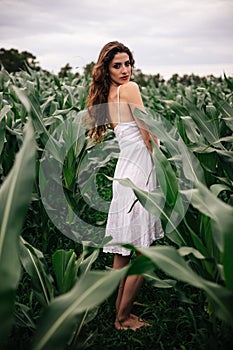 Beautiful girl in a field of cobs