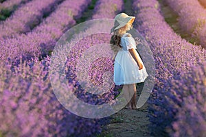 Beautiful girl in a field with lavender.