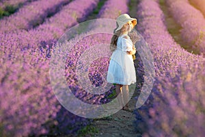 Beautiful girl in a field with lavender.