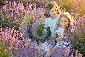 Beautiful girl in a field with lavender.