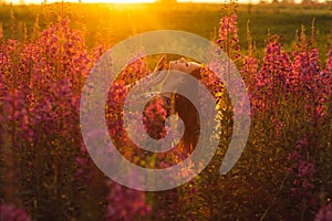 Beautiful girl on field, sun backlight, sunrise