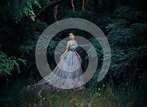 Beautiful girl in a gorgeous long dress, walk among the trees .