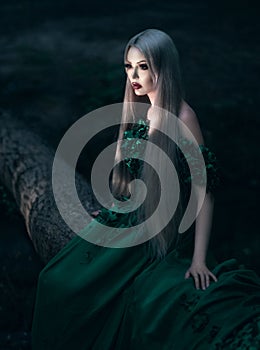 Beautiful girl in green long dress sitting on felled tree photo