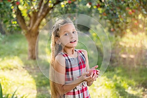 Beautiful girl harvests apples. Apple orchard.