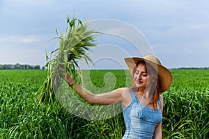 beautiful girl holding a bouquet of ears of green wheat