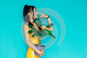 Beautiful girl holds flower in pot on a blue background. Woman hold potted plants. Charming cheerful pin up girl with flower in