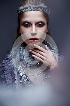 Beautiful girl in the image of the cold Queen with frost on his eyebrows. The model with creative makeup and crown on his head